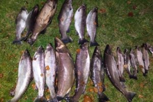Už nelegalią žvejybą teks susimokėti daugiau nei 42 tūkst. eurų: gresia ir baudžiamoji atsakomybė