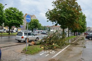 Kelininkai įspėja vairuotojus: ant kelių gali būti nuvirtusių medžių ar nukritusių šakų