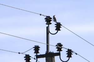Informuoja, kodėl Druskininkuose šeštadienio vakarą buvo dingusi elektra