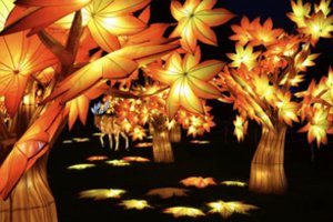 Tamsius žiemos vakarus nušvies žibintų ir šviesos instaliacijų festivalis „1000 šviesų“ Rumšiškėse