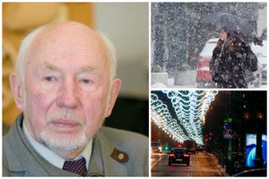 Profesorius L. Klimka apie šių metų Kalėdų orus ir kokios žiemos tikėtis