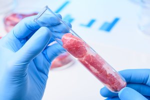 Laboratorijoje užaugintos mėsos ateitis: ją valgysime visi
