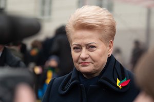 D. Grybauskaitės linkėjimas Lietuvai: „Nustoti šaudyti sau į kojas, tai yra kenkti sau“