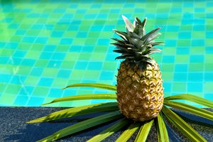 Įdomioji ananaso istorija: tie, kas negalėdavo jo įpirkti, galėdavo išsinuomoti