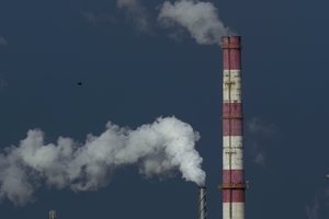 Energetikos viceministras: ES turės apsispręsti dėl iškastinio kuro naudojimo