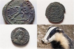 Atkasė senovinių monetų lobį – bet sunku patikėti, koks archeologas padarė šį atradimą
