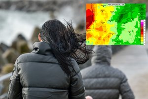Įspėja dėl Lietuvą užklupsiančių staigių orų pokyčių: siautės stiprus vėjas, kuris gali pridaryti bėdų