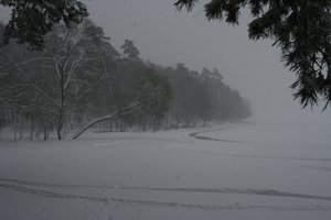 Latvijoje žiemos audra pareikalavo gyvybės: kurorte mirtinai sužalota moteris