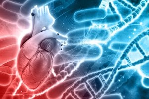 Širdies ir kraujagyslių ligų prevencija: ką reikia žinoti?