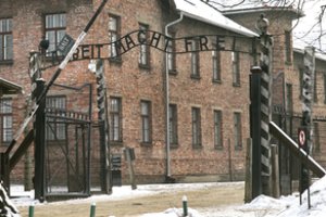 Už pozavimą rodant nacių saliutą Aušvico koncentracijos stovykloje suimta turistė