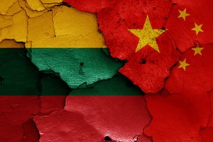 Užsienio ekspertas apie Lietuvos įtampas su Kinija: valstybės pagalba nėra būtina reaguojant į kiekvieną šoką