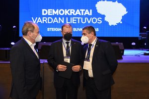 Paaiškėjo įsteigtos Demokratų sąjungos „Vardan Lietuvos“ valdymo organų nariai