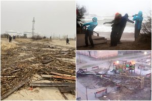Pradėjo skaičiuoti Klaipėdoje uraganinio vėjo padarytą žalą: nusiaubti paplūdimiai, išvartyta dešimtys medžių