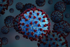 Pasaulyje kylant nerimui dėl naujo koronaviruso „NeoCoV“, paaiškino, kas tai ir kiek pavojinga