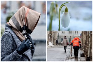 Klimatologas: į Lietuvą netikėtai vienai dienai užsuks kone pavasaris – šils iki 8 laipsnių