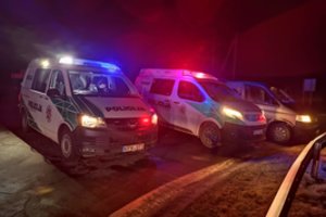 Panevėžyje žuvo pėsčiasis, žmogų partrenkęs automobilis nuvažiavo