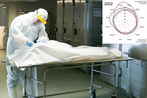 Paskelbė, kiek perteklinių mirčių Lietuvoje įvyko dėl COVID-19 pandemijos