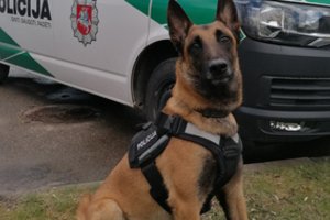 Per kratą į pagalbą pareigūnams atskubėjęs tarnybinis šuo Foksas rado narkotikų