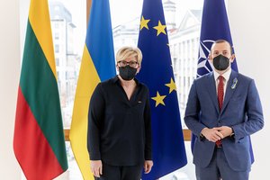 I. Šimonytė su V. Sinkevičiumi aptarė paramos Ukrainai, pabėgėlių ir energetikos klausimus
