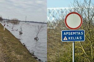 Potvynio vanduo išplovė dešimtis tūkstančių eurų kainuojančius „auksinius“ medelius 
