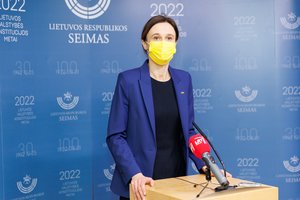V. Čmilytė-Nielsen skeptiška dėl laikinosios komisijos nepaprastosios padėties kontrolei