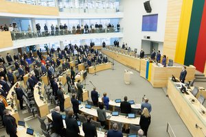 Seimas pritarė svarstomoms Nacionaliniam saugumui užtikrinti svarbių objektų apsaugos įstatymo pataisoms