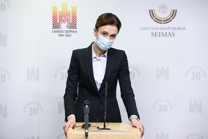 V. Čmilytė-Nielsen įžvelgė smurto lyties pagrindu sąvokai besipriešinusių parlamentarų argumentuose paradoksą