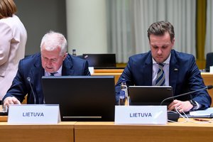 G. Landsbergis ir A. Anušauskas ES taryboje aptarė paramą Ukrainai bei Bendrijos saugumą