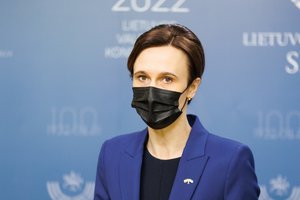 V. Čmilytė-Nielsen: antiinfliacinio plano kryptis gera