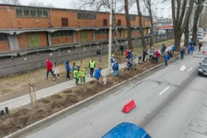 Žalioji Vilniaus banga: mieste pasodinta apie 2 tūkst. krūmų