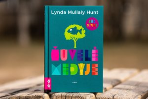 Knyga 8-12 metų skaitytojams „Žuvelė medyje“: apie disleksiją ir visų mūsų skirtingumą