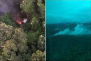 Kamerūno miške sudužus lėktuvui žuvo 11 žmonių