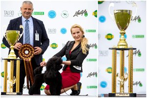 Tris dienas trukusio parodų maratono gražiausiu šunimi išrinktas Virusas iš Vilniaus