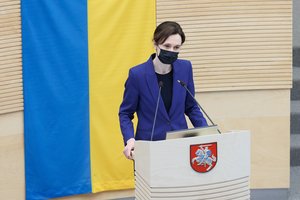 V. Čmilytė-Nielsen: manau, kad jau laikas opozicijai grįžti į posėdžių salę