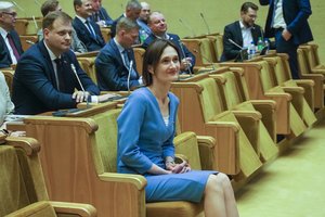 V. Čmilytė-Nielsen: įtampos parlamente gali pavėlinti užsienio politikos, gynybos susitarimus