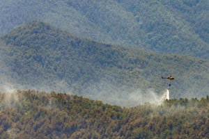 Dėl miškų gaisrų evakuoti aštuoni Ispanijos kaimai