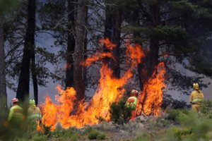 Karščio bangai šiek tiek slūgstant, Ispanijos tarnybos kovoja su miškų gaisrais