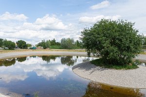 Panevėžys nustebins Lietuvą: pasakiško parko įrengimas įpusėjo 
