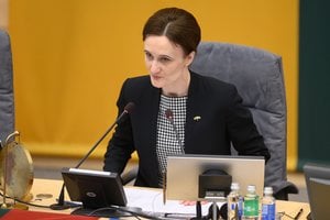 V. Čmilytė-Nielsen: problemą dėl Kaliningrado tranzito pučia Rusijos propaganda