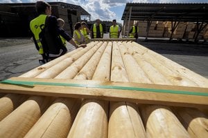 Perdirbėjus neramina laikina valstybinės medienos aukcionų tvarka