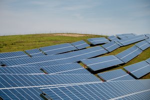 Britų „Aura Power“ į 375 MW saulės parką Ignalinoje investuos 300 mln. eurų 