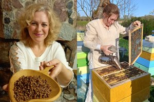 Vilkaviškietė teisininkės karjerą iškeitė į bitininkystę: „Toks darbas ilgina gyvenimą“