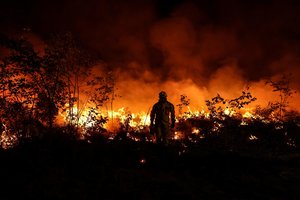 Dėl ekstremalaus karščio ir gaisrų Portugalijoje baiminamasi, kad bus daugiau mirčių