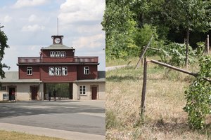 Buvusioje nacių stovykloje vandalai dukart apgadino memorialinius medžius