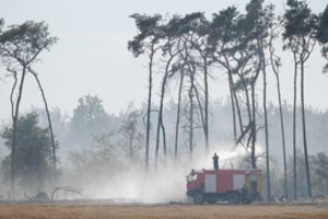 Gamtiniai gaisrai Vokietijos ir Čekijos pasienyje kelia grėsmę nacionaliniam parkui 