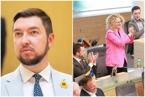 V. Mitalas užminė mįslę dėl Laisvės partijos atstovo į Vilniaus merus: prabilo apie nepartinius kandidatus