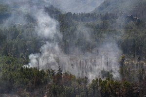 Čekijos nacionaliniame parke toliau siautėja liepsnos: gaisrą gesina 900 ugniagesių