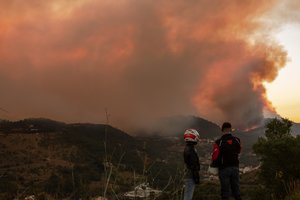 Alžyre išplitus miškų gaisrams žuvo 26 žmonės