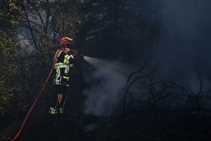 Aplinkosaugininkai perspėja būti atsargiems saugomose teritorijose: miškų gaisringumas didėja