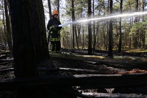 Piloto pastebėtas miško gaisras sukėlė nemažai iššūkių ugniagesiams, pasiekti gaisravietę buvo beveik neįmanoma